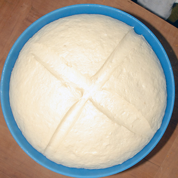 Contenitori Impasto Pizza Contenitori Impasto Pizza