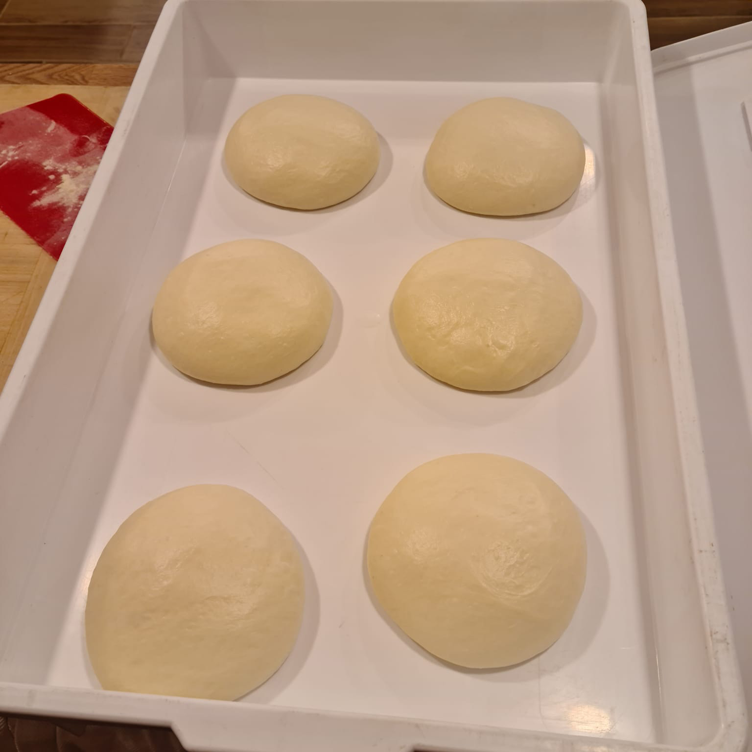 Cella di Lievitazione per Pane e Pizza Cella di Lievitazione per Pane e Pizza