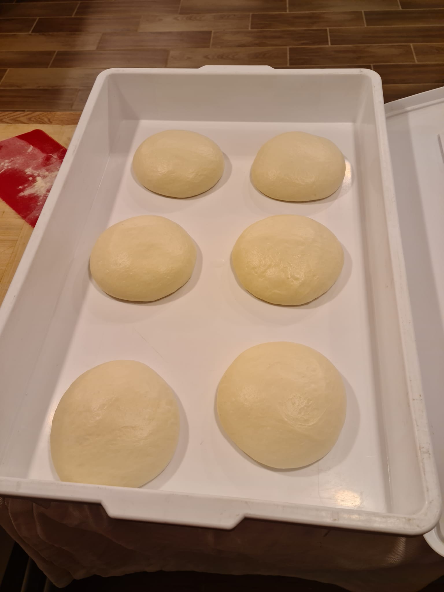 Contenitori Impasto Pizza Contenitori Impasto Pizza